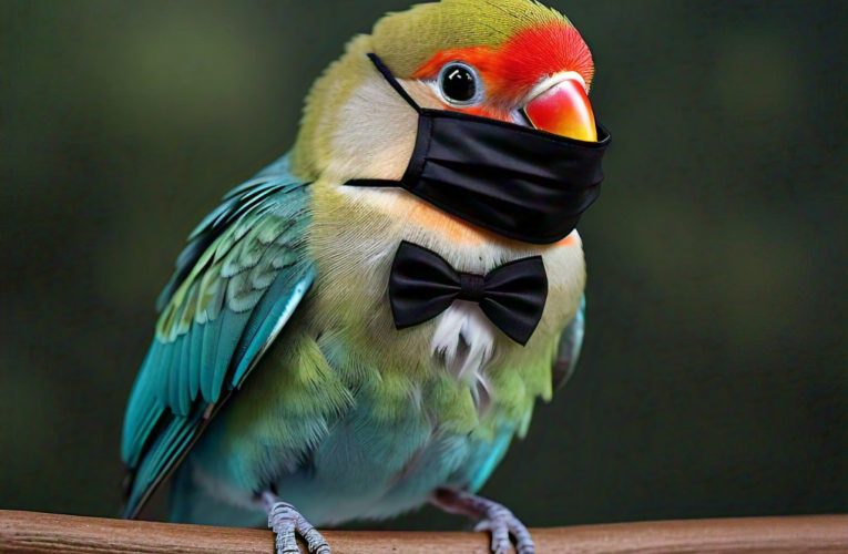 Masked Lovebird Chronicles: Your Ultimate Lovebird Species Guide for Caring and Facts Every Avian Enthusiast Must Know